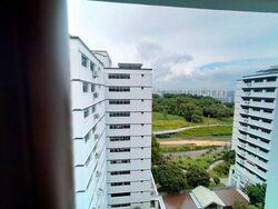 Blk 494C Tampines Street 43 (Tampines), HDB 5 Rooms #385513091